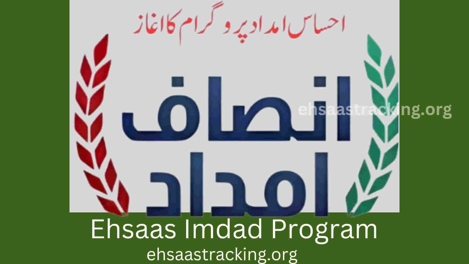 Ehsaas Scholarship Program 2023-24 [Everything Explained] | Ehsaas Tracking