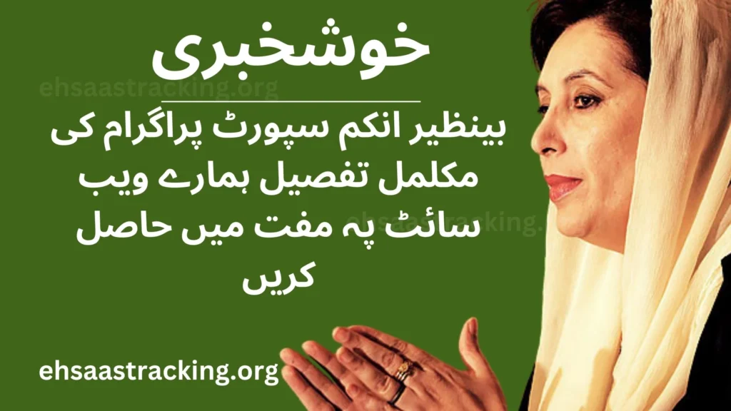 Ehsaas Tracking 8171 Pass Gov Pk 2024 Web Portal 