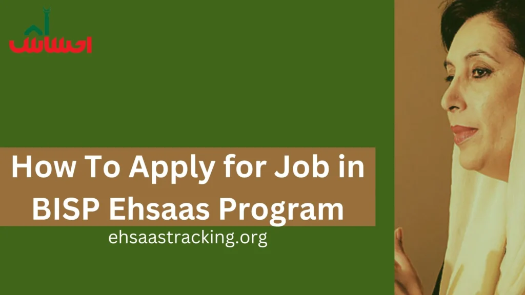 Ehsaas Program Jobs 2024